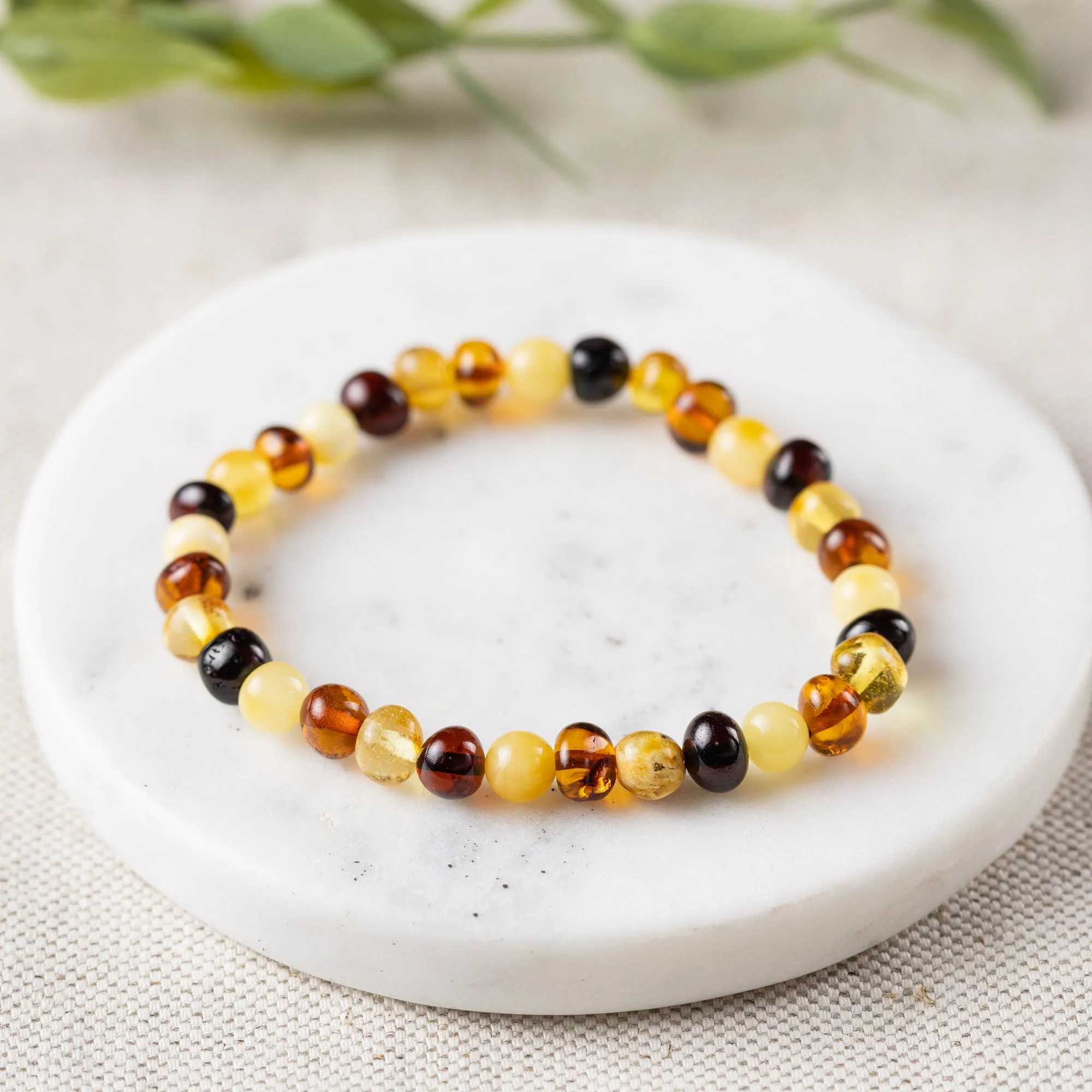 Adults | Multi Baltic Amber Bracelet
