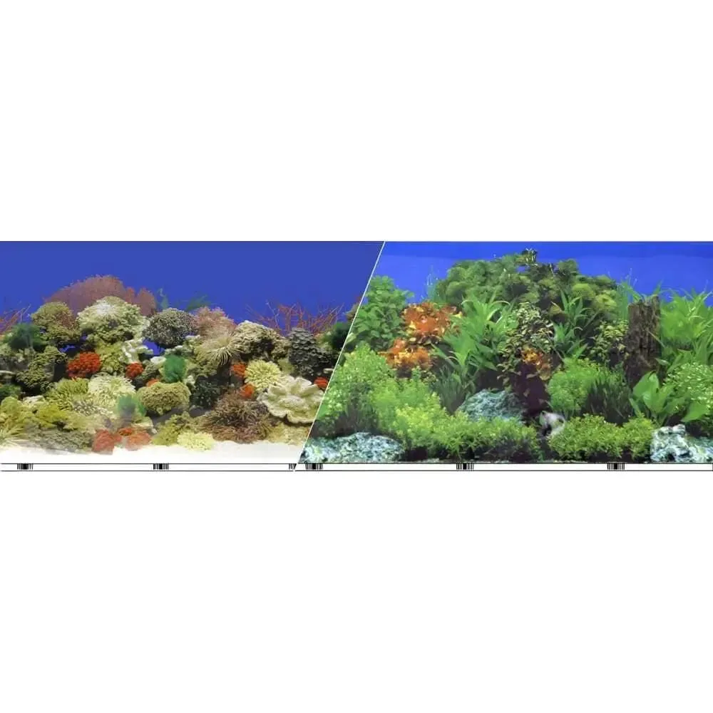 Background Double-sided Coral Reef-freshwater