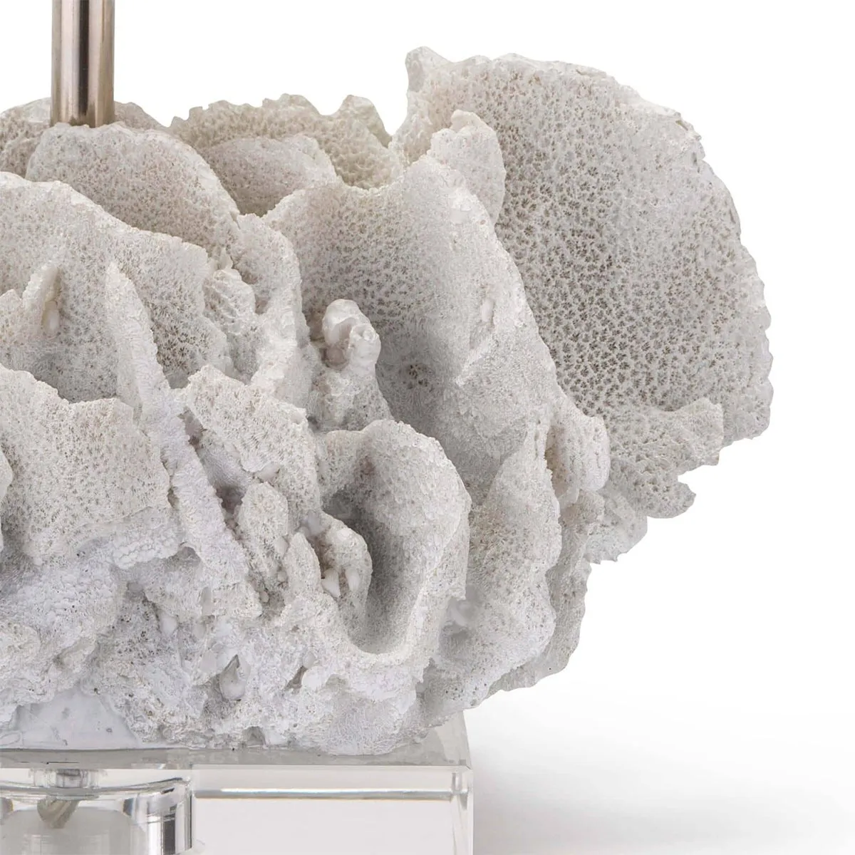CARIBBEAN CORAL TABLE LAMP