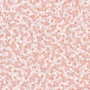Celestial Lights by Amanda Murphy Coral Dots