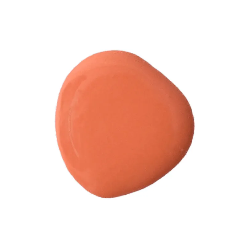 Completely Coral Milk Paint - Sweet Pickins