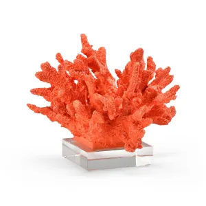 Coral