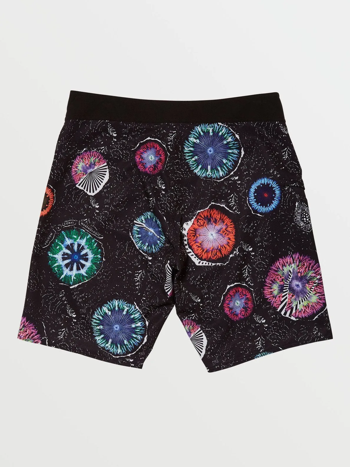 COSTUME CORAL MORPH 20" BOARDSHORT