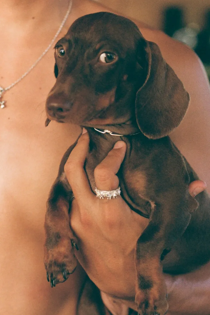 Doberman Crown Ring