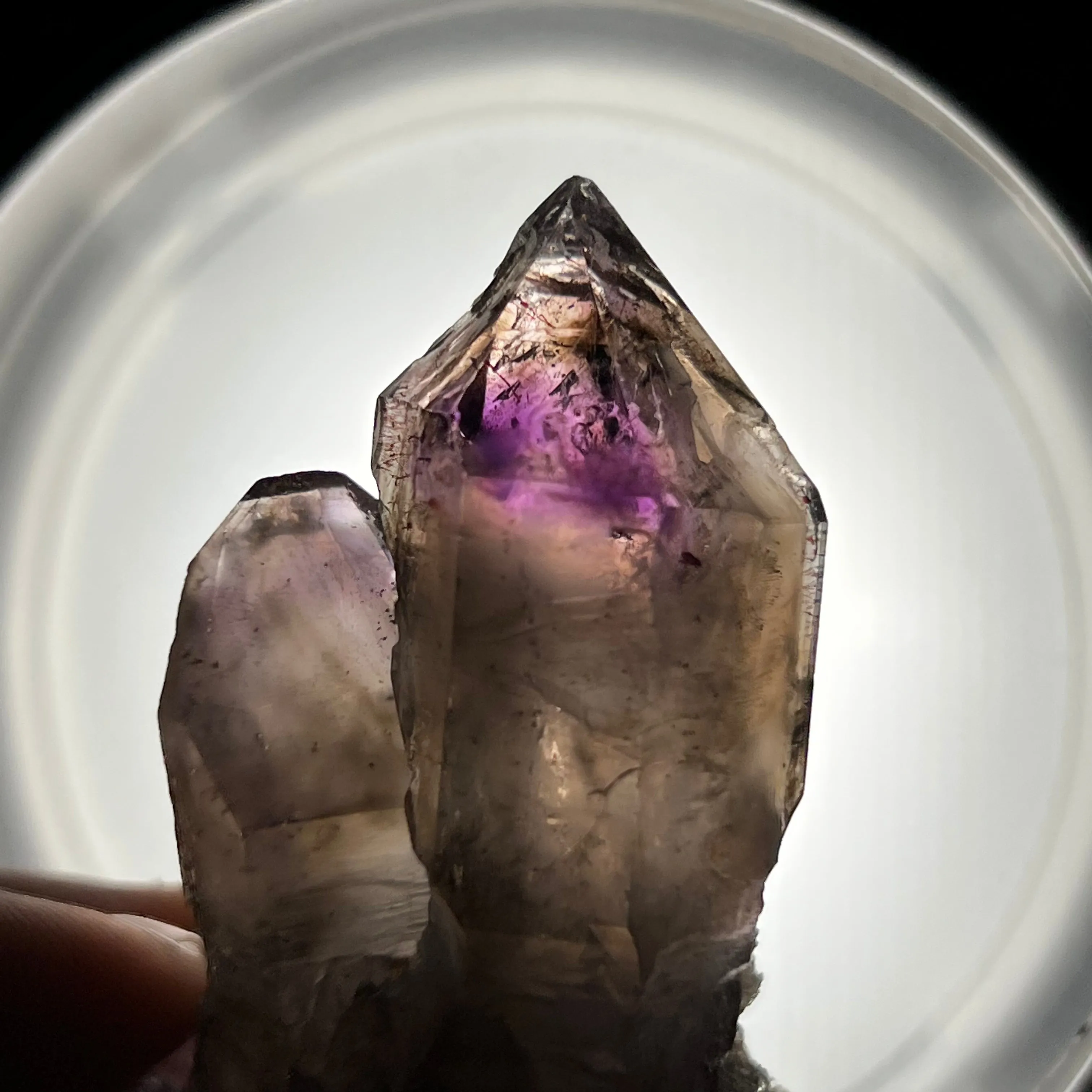 Hugging Twin Smokey Quartz, Shangaan Amethyst Crystal From The Chibuku Mine, Gezani Communal Land, Zimbabwe