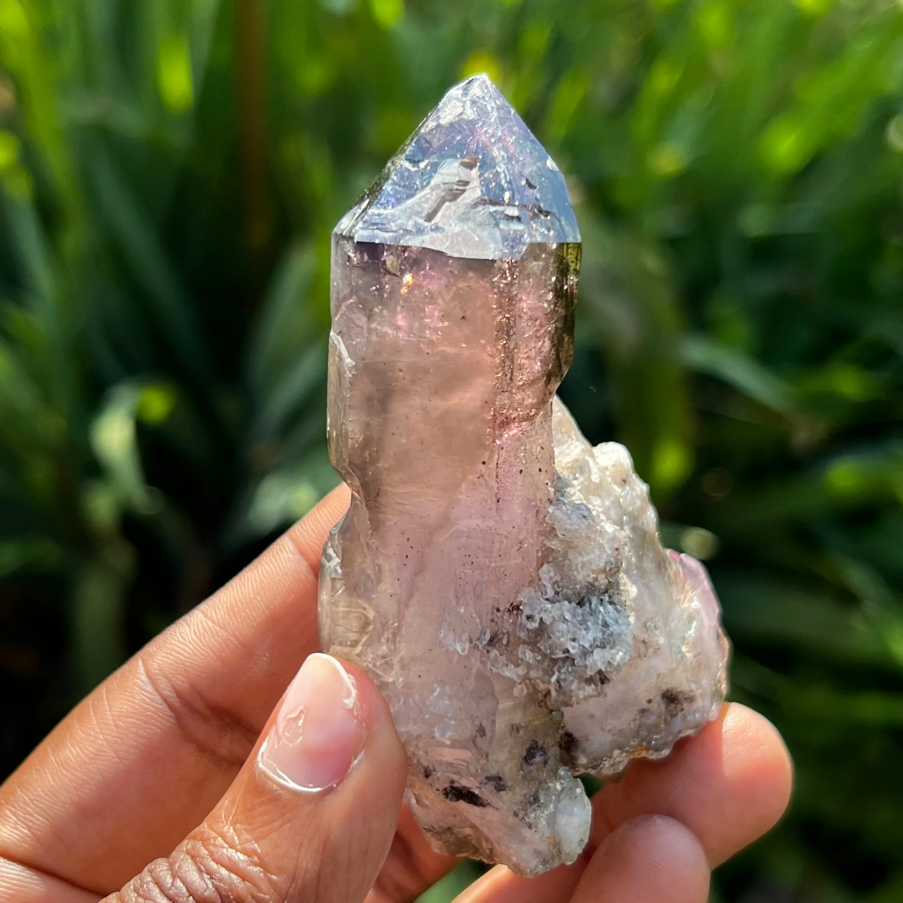 Hugging Twin Smokey Quartz, Shangaan Amethyst Crystal From The Chibuku Mine, Gezani Communal Land, Zimbabwe