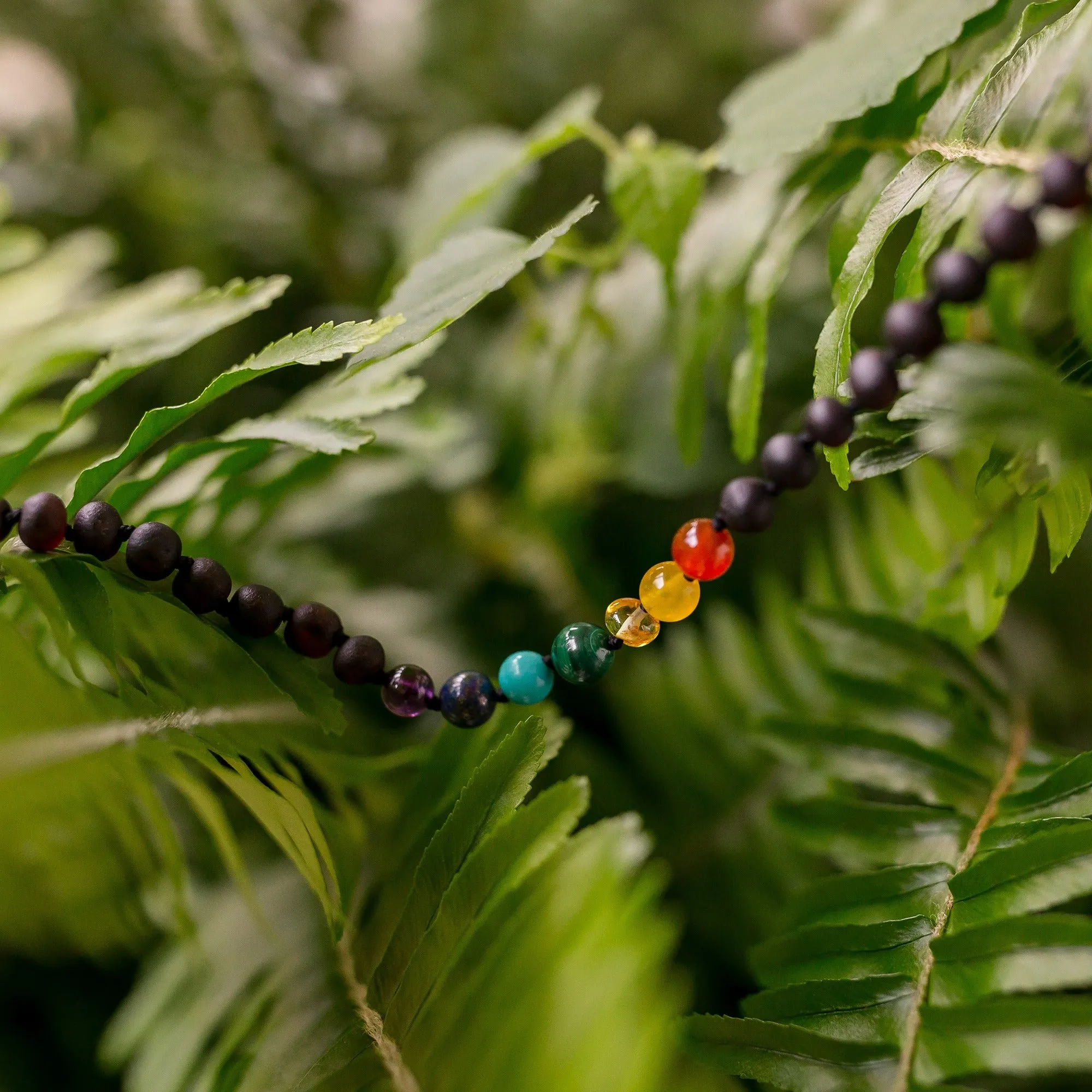 Kids | Rainbow Chakra   Raw Cherry Amber Necklace