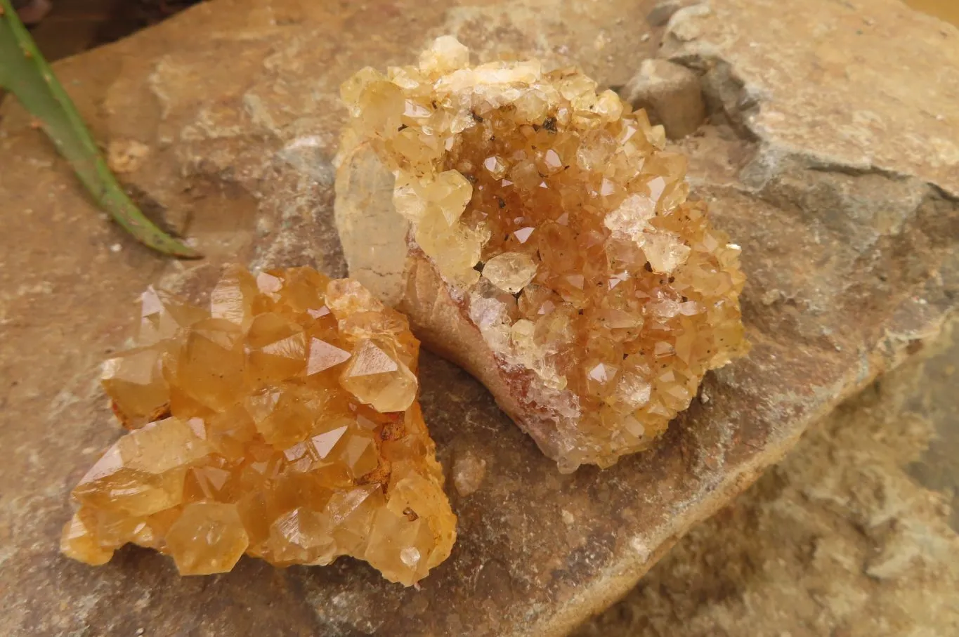 Natural Limonite Quartz Specimens x 28 From Zambia