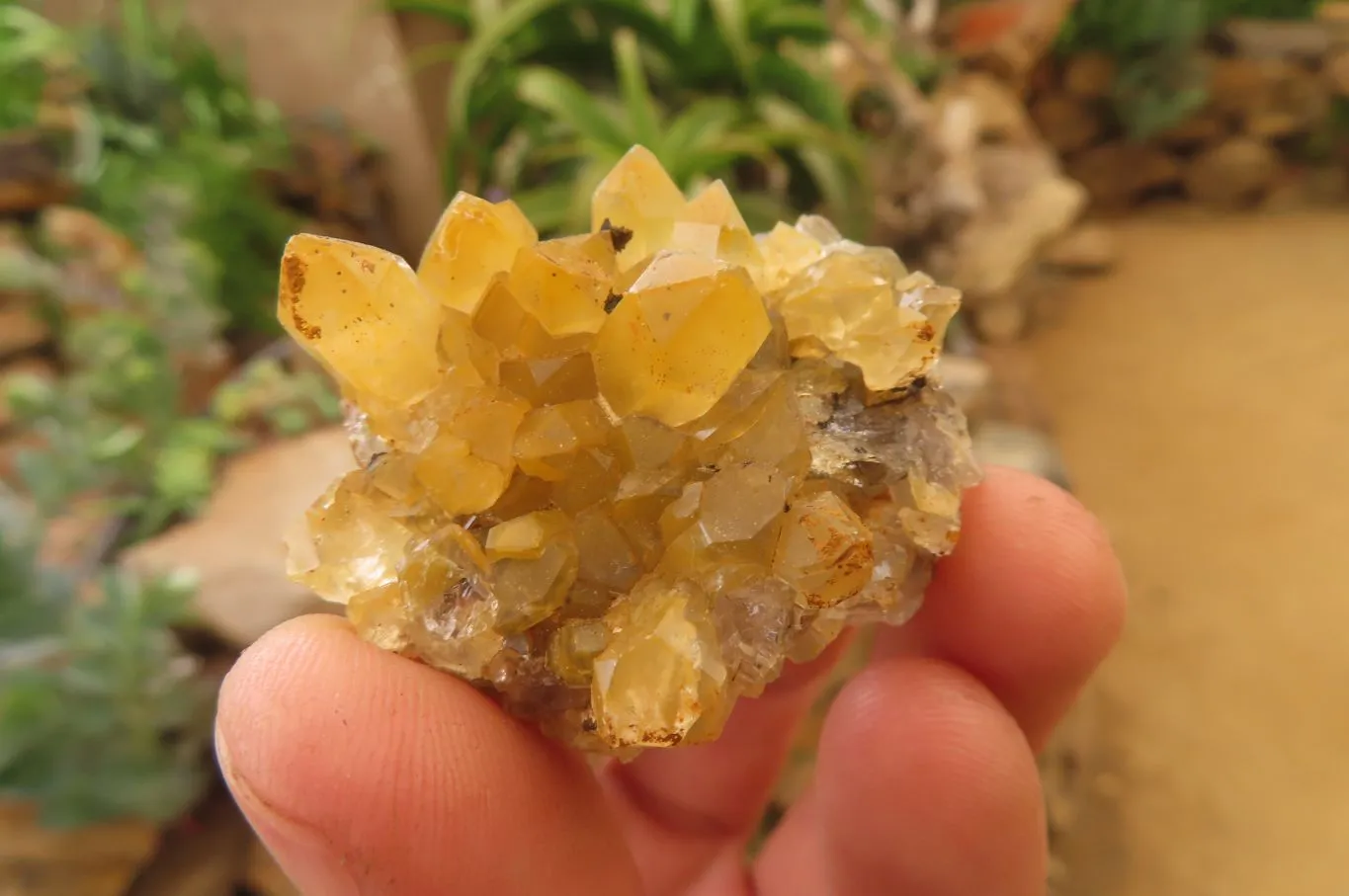 Natural Limonite Quartz Specimens x 28 From Zambia