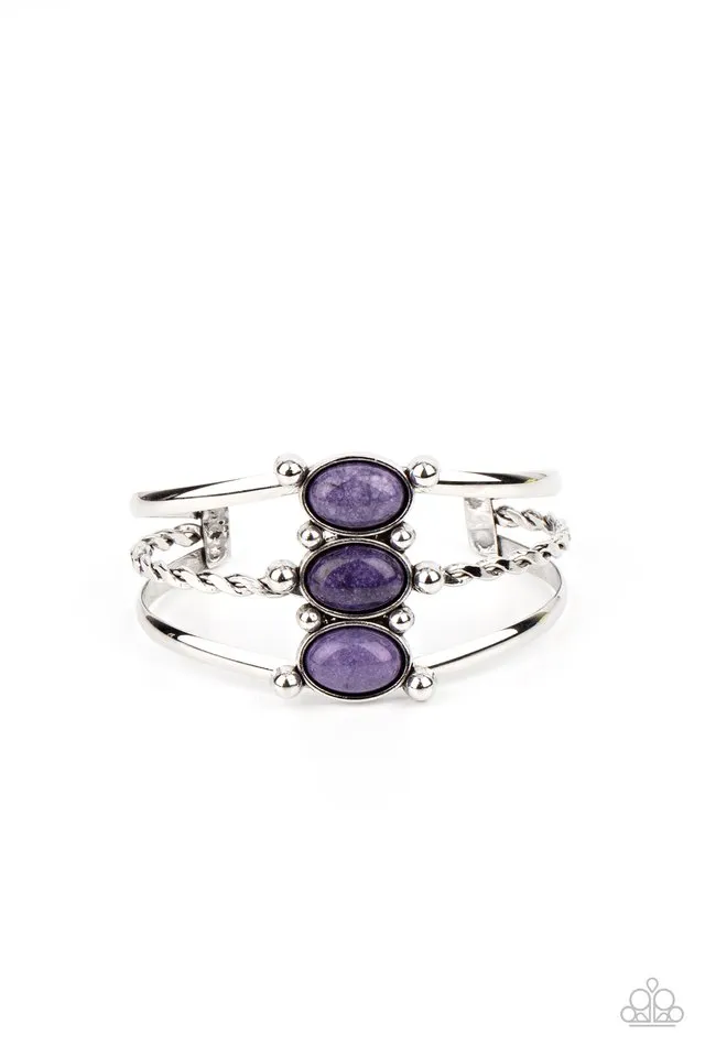 Paparazzi Bracelet ~ Extra Earthy - Purple