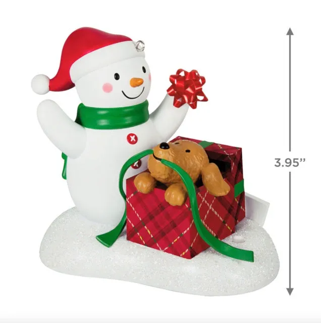 Wrapped Up In Christmas 2024 Musical Ornament